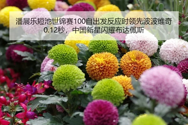 潘展乐短池世锦赛100自出发反应时领先波波维奇0.12秒，中国新星闪耀布达佩斯