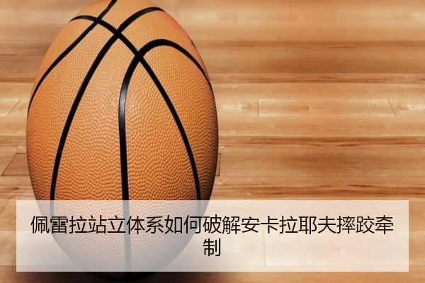 佩雷拉站立体系如何破解安卡拉耶夫摔跤牵制