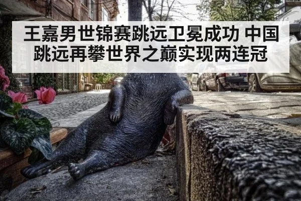王嘉男世锦赛跳远卫冕成功 中国跳远再攀世界之巅实现两连冠